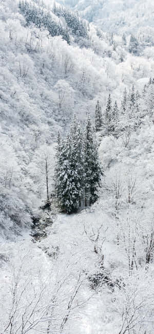 Snow Iphone — iPhone 18 Pro Hình nền