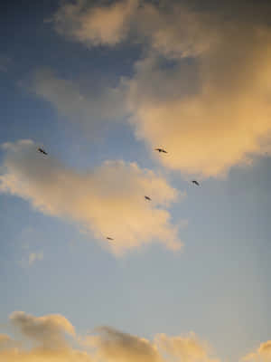 Hình ảnh Bầu trời Thẩm mỹ — Bầu trời thẩm mỹ Hình nền