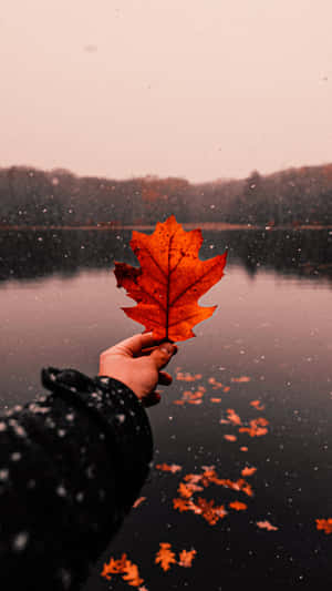 Hình nền phong cách mùa thu — Mùa thu đẹp Hình nền