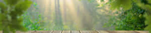 Hình nền thiên nhiên 4k — 4K thiên nhiên GIF Hình nền