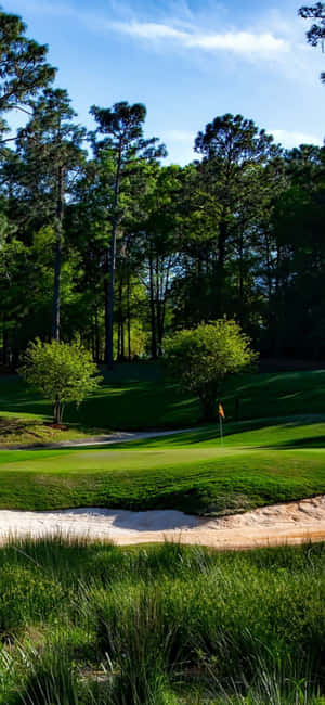 Nền Sân Golf Iphone X — iPhone 16 Pro Hình nền