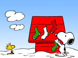 Hình nền Tất Giáng Sinh Snoopy — Snoopy giáng sinh Hình nền