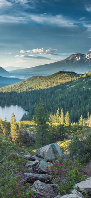 Hình nền iPhone X California — 19.5:9 Hình nền