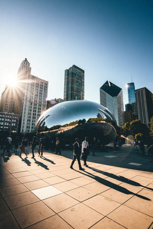 The Bean Chicago ngày nắng — Xiaomi Pad 7 Ultra Hình nền