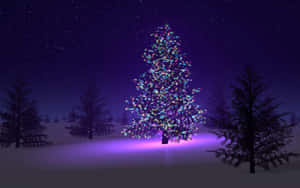 Hình nền Cây Thông Giáng Sinh — Cây thông Noel Hình nền