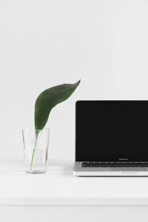 Hình nền MacBook Pro tối giản đẳng cấp — Màn hình chính Hình nền