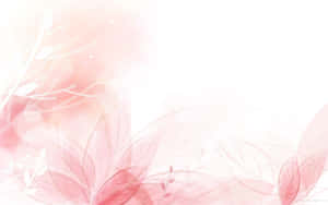 Nền hồng dễ thương — Dễ thương màu hồng Hình nền