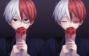 Hình nền Todoroki dễ thương cầm hoa hồng đỏ