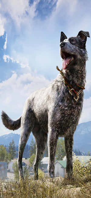 Hình nền Iphone Xs Far Cry 5 — iPhone 11 Pro Hình nền