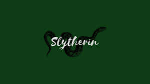 Hình ảnh thẩm mỹ Slytherin