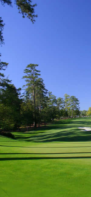 Nền Sân Golf Iphone X — POCO M8s Hình nền