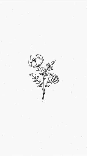 Nền trắng thẩm mỹ — Thẩm mỹ tối giản GIF Hình nền
