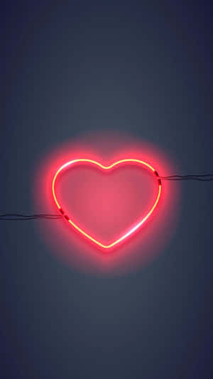 Neon hồng dễ thương — Neon Hình nền