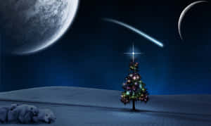 Hình nền Cây thông Giáng sinh — Cây thông Noel Hình nền