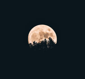 hình ảnh trăng tròn