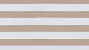 Trưng bày tinh tế phong cách Beige Aesthetic — Đơn giản thẩm mỹ Hình nền