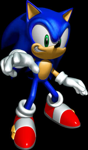 Sonic The Hedgehog Clipart có thể in - Mô hình Sonic trong Sonic Heroes, Tải xuống HD Png