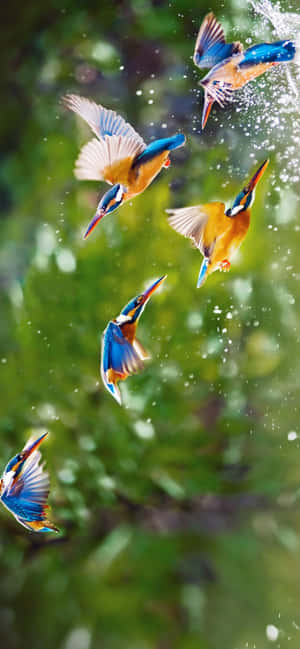 1284x2778 — Samsung Galaxy S20 Hình nền