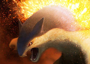Typhlosion Cận Cảnh HD — Anime máy tính Hình nền