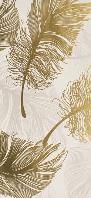 1284x2778 — iPhone 12 Pro Hình nền