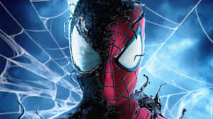 Venom Người Nhện Ảnh Đại Diện — Người nhện Hình nền