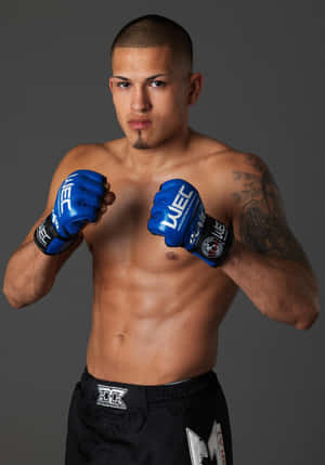 Võ sĩ UFC Latino Nóng Bỏng Anthony Pettis — OnePlus Pad 3 Hình nền