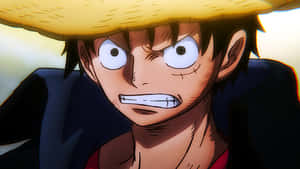 “Vua Hải Tặc - Luffy sẵn sàng truy tìm One Piece” — Luffy Hình nền
