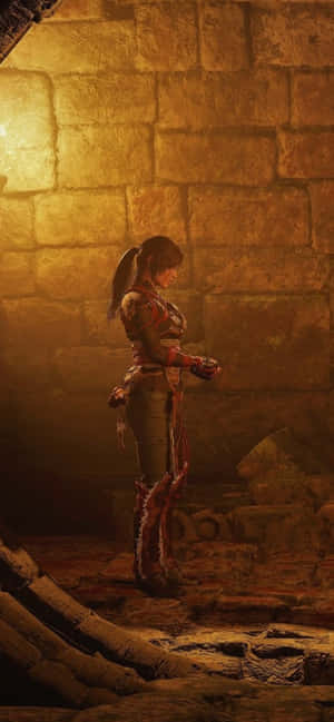 Hình nền Pixel 3 Shadow Of The Tomb Raider — OnePlus 13 Hình nền