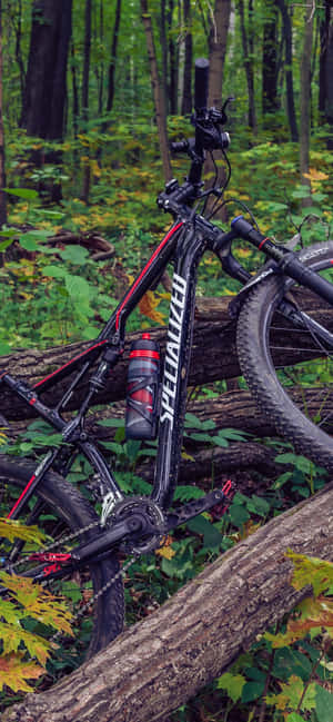 Mountain Bike Iphone — Vivo V60e Hình nền