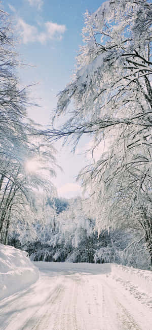 winter wonderland Background — Oppo A7 Pro Hình nền